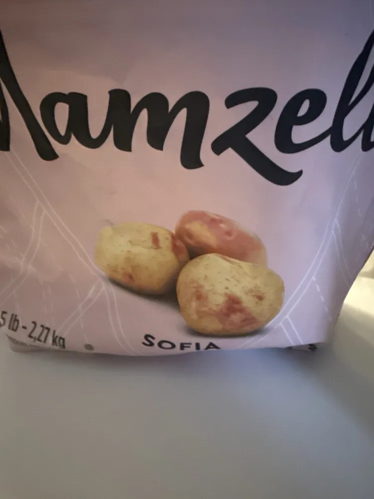 Patate