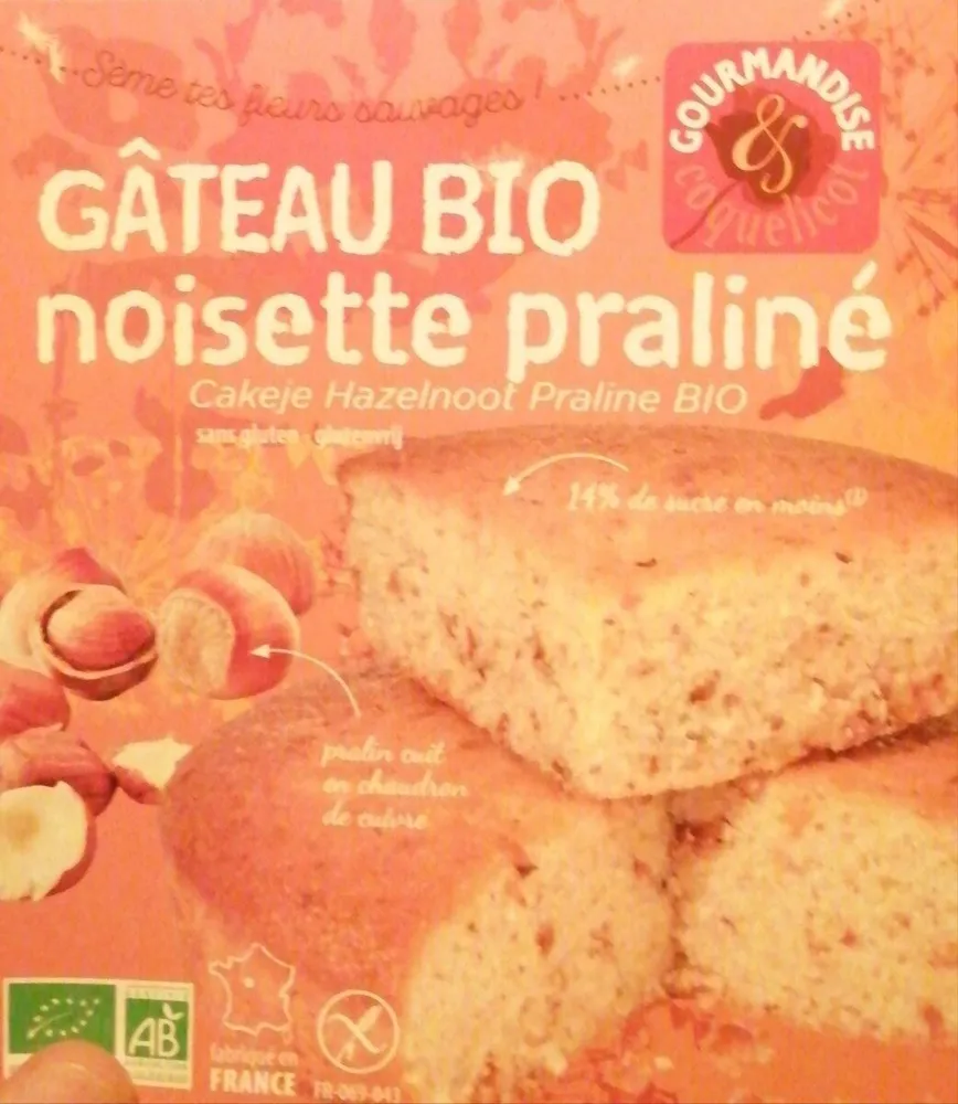 Gâteau bio noisette praliné
