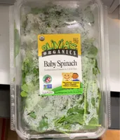 Baby Spinach