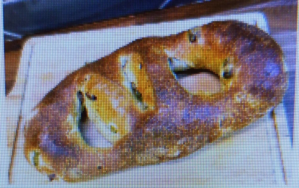 Fougasse aux olives