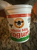 Plain Yogurt
