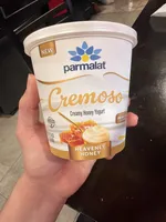 Creamy Honey Yogurt