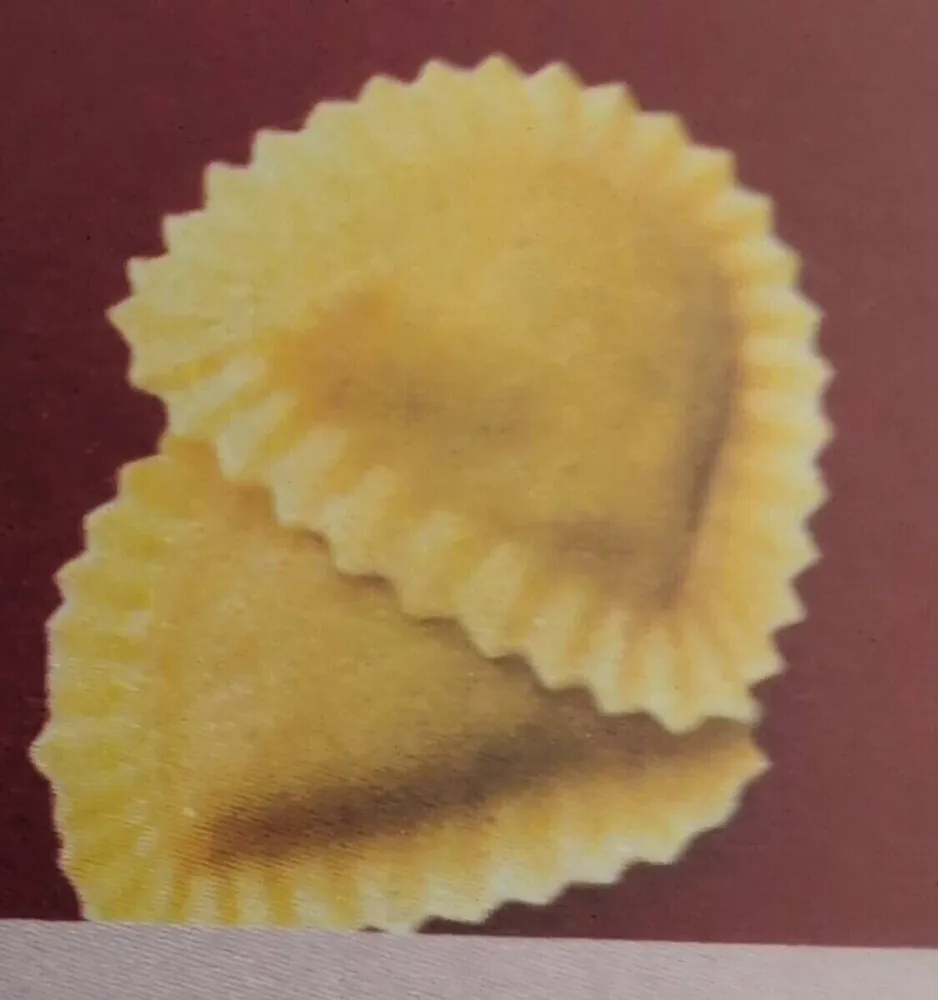 Ravioli aux légumes
