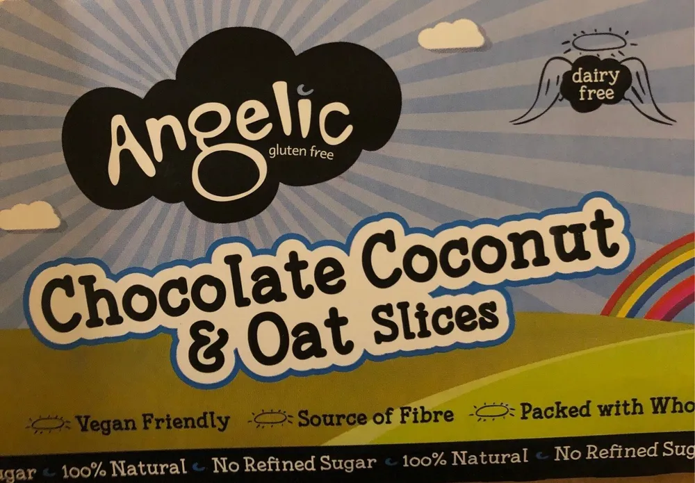 Chocolate Coconut & Oat Slices