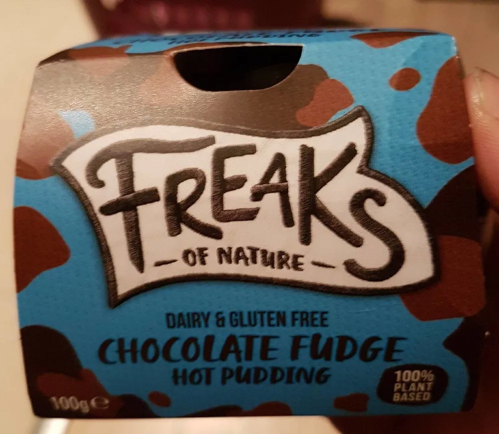 Daire and Gluten Free Chocolate Fudge Hot Pudding