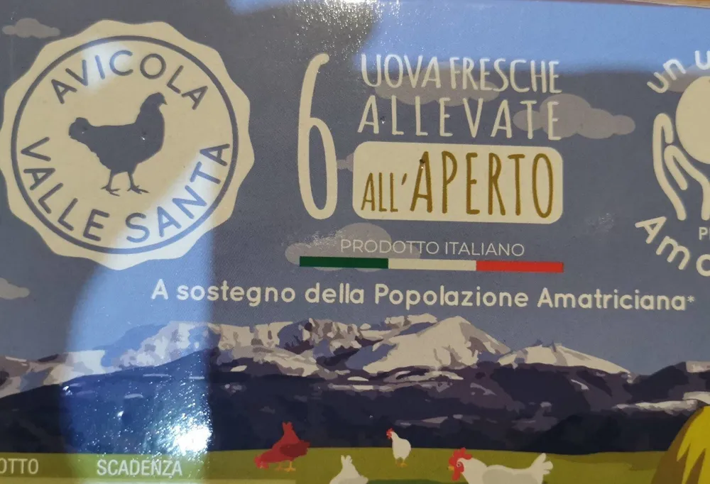 Uova fresche allevate all'aperto