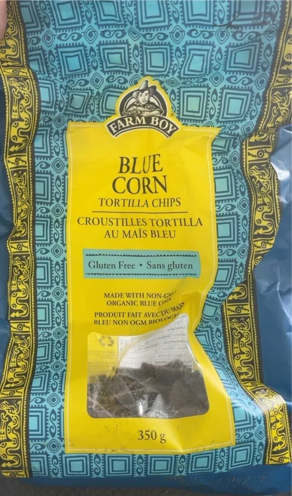 Blue corn tortilla chips