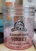 Blueberry lemon sorbet