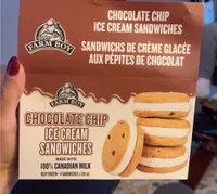 Chocolate chip ice cream sandwich