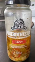 Mixed pickled vegetables in oil