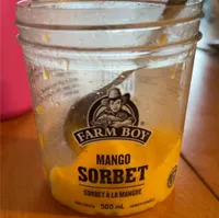 Mango Sorbet