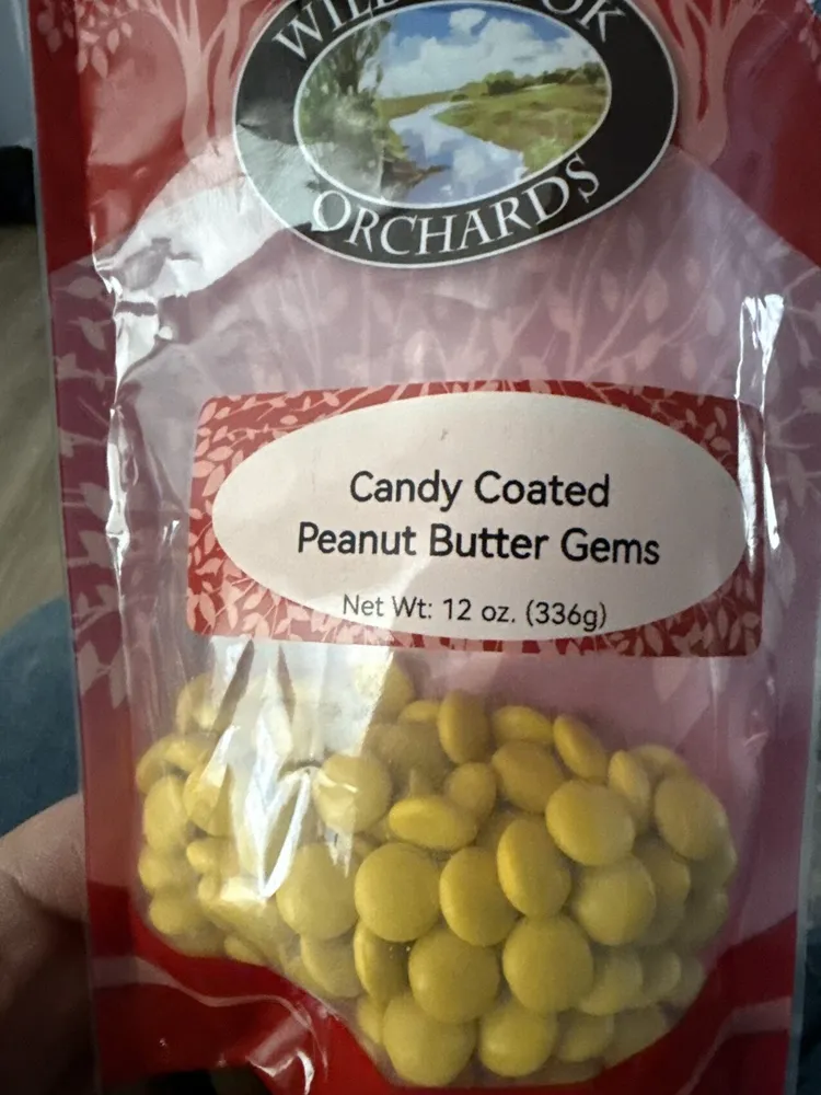 Candy Coated Peanut Butter Gems