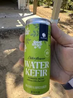 Water Kefir By Gourmanity
