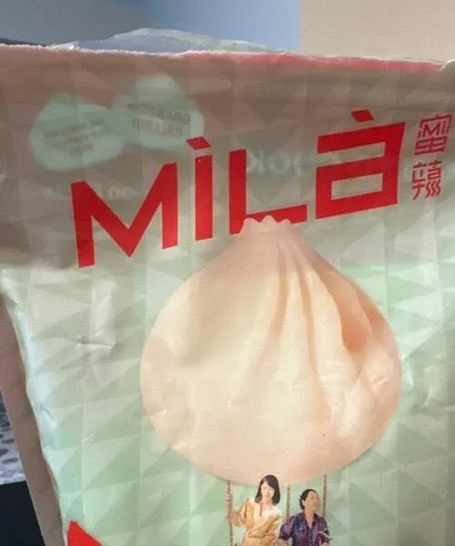 Soup Dumplings Chicken
