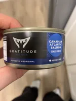 ATLANTIC SALMON