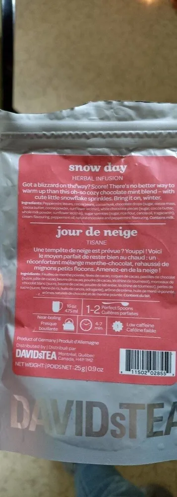 Snow Day
