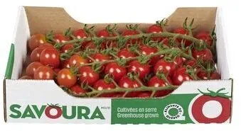 Tomates Cerizo