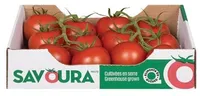 Tomates Saladio