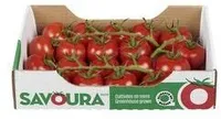 Tomates Cocktalio