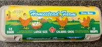 Large Free Run Eggs