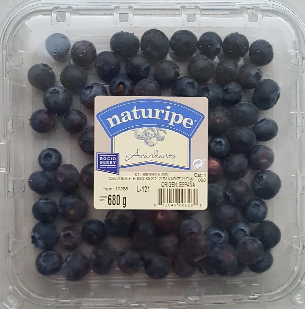Blueberries