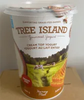 Cream Top Yogurt - Honey