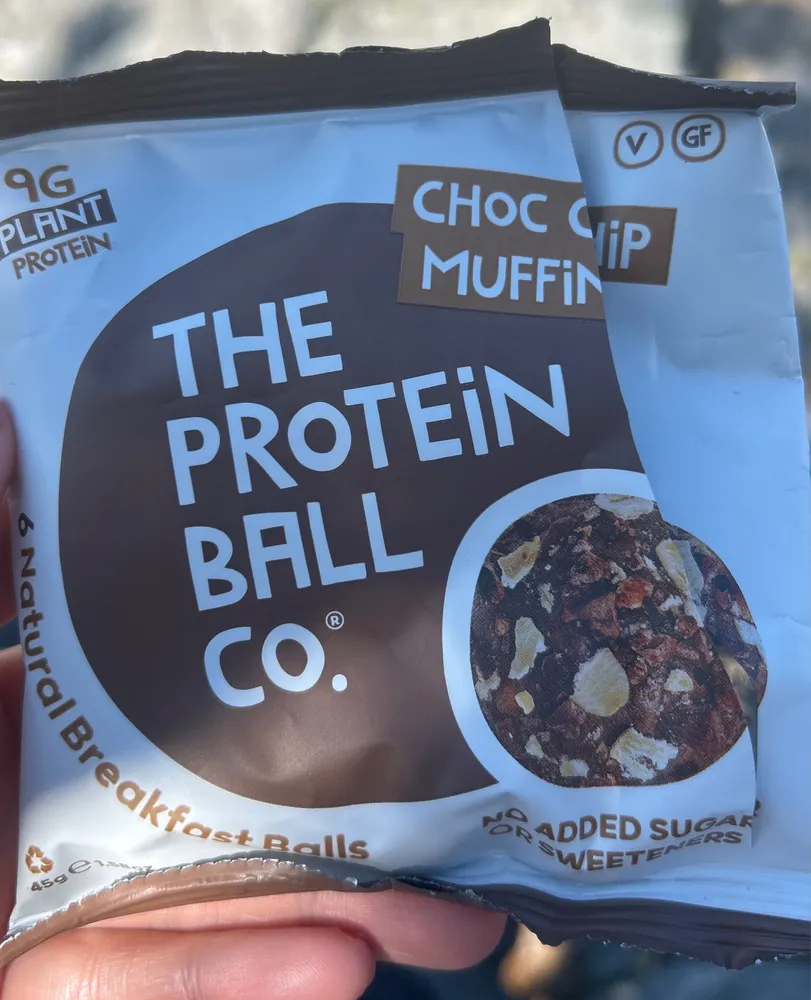 CHOC CHIP MUFFIN