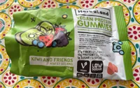 Vegan Protein Gummies: Kiwi & Friends