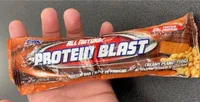 Protein Blast