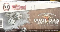Quail Eggs