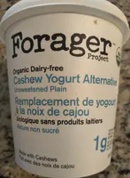 Forager Project Organic Dairy-free Cashew Yogurt Alternative Unsweetened Plain