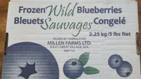 frozen wild blueberries