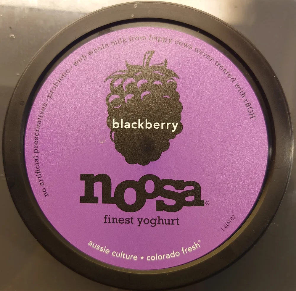 Yoghurt - Blackberry