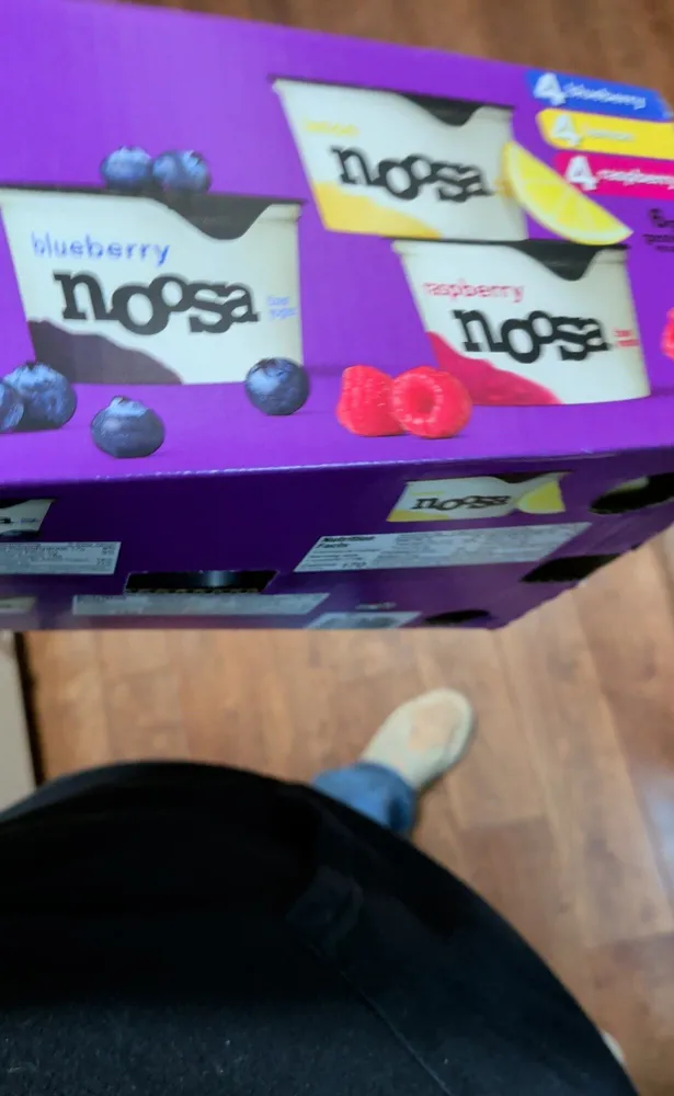 Blueberry Yogurt