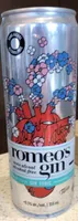 Gin tonic sans alcool