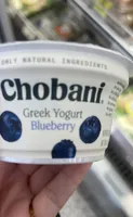 Greek Yogurt Blueberry