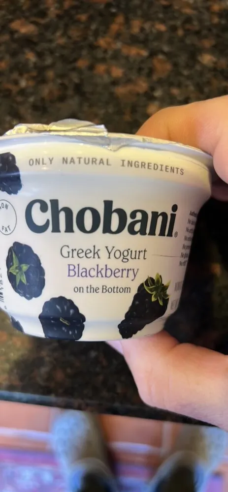 Greek Yogurt Blackberry on the Bottom