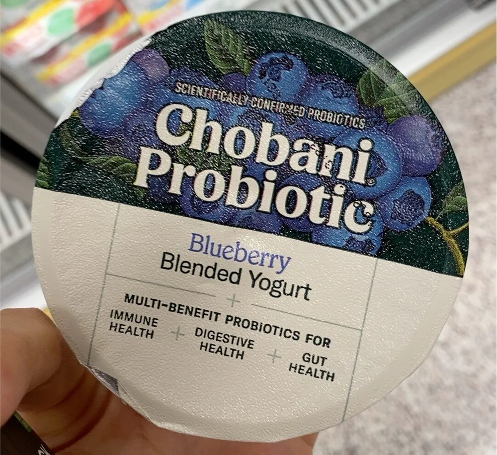 Blueberry blended yogurt