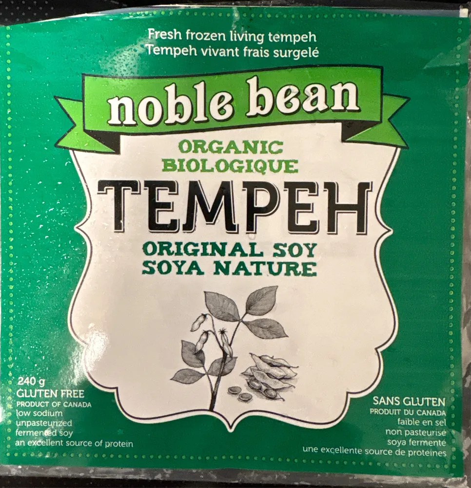 Organic Tempeh Original Soy