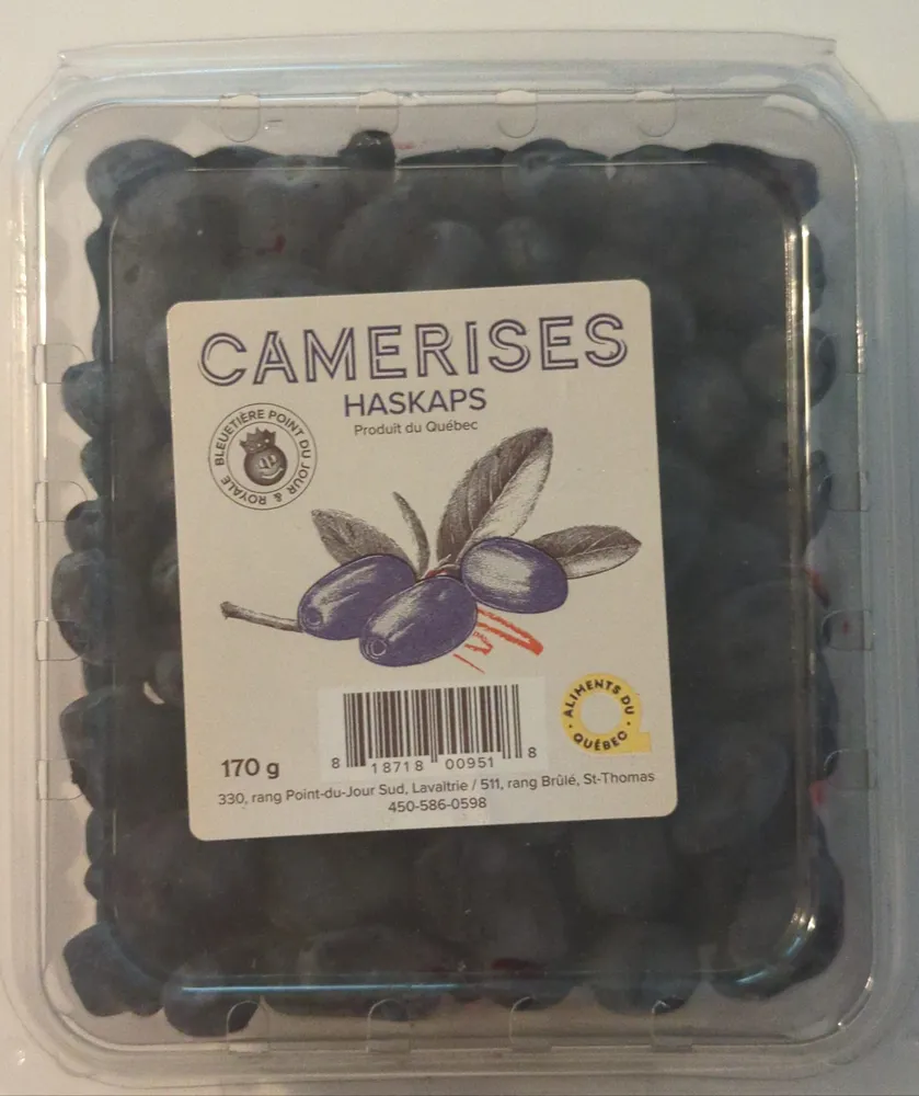 Camerises haskaps