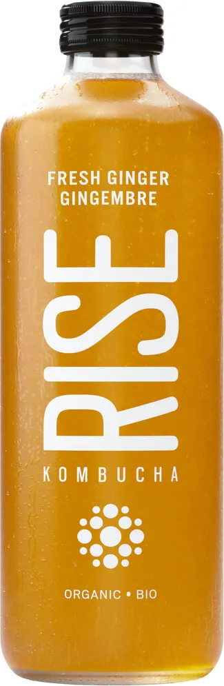 Kombucha Gingembre
