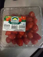 Grape Tomato