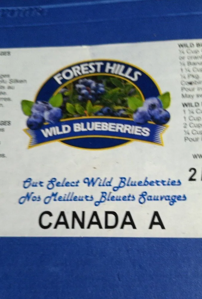 Wild blue berries