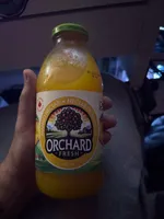 mango nectar