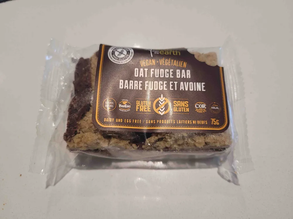 Oat Fudge Bar