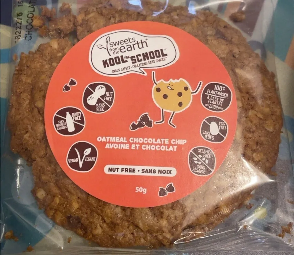 oatmeal chocolate chip cookie