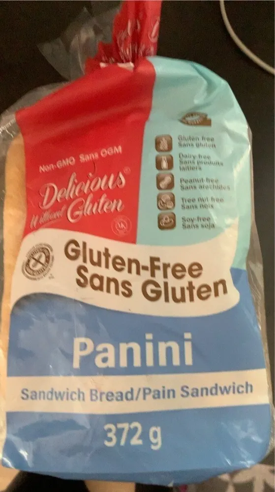 Panini