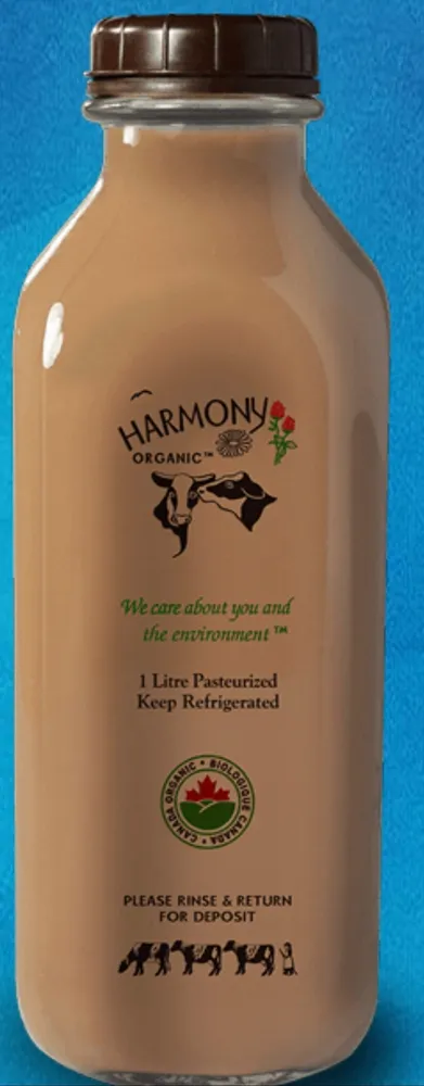 3.8% Chocolate milk