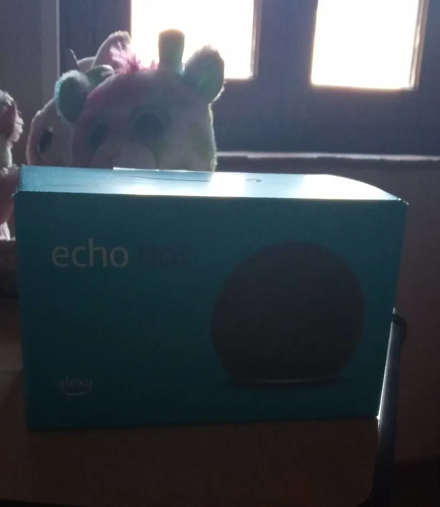 Echo dot se lo piglia schiatto comunque marca amazon