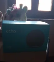 Echo dot se lo piglia schiatto comunque marca amazon